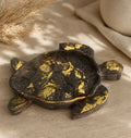 Tortue Dorée – Jesmonite